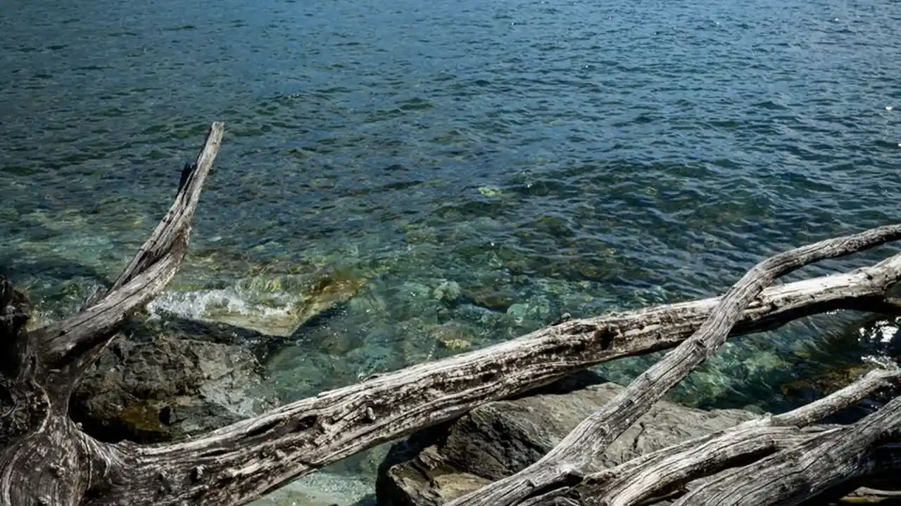 小戳进女生无遮挡一种创新的互动体验方式